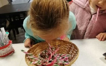 Candy Cane Picking